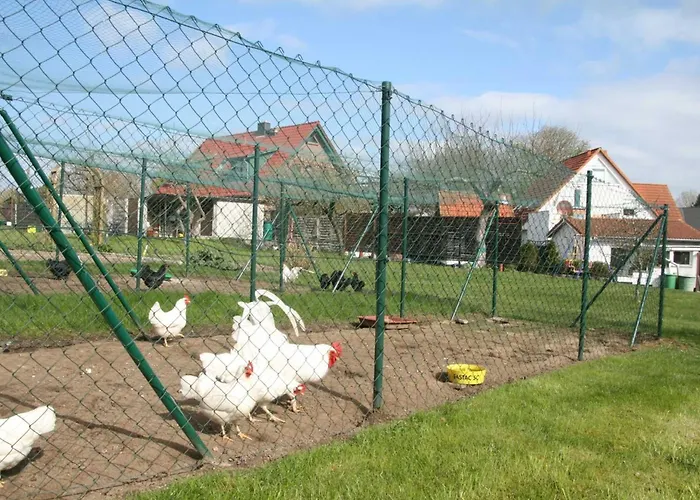 Villa Ferienvilla Xl Leuchtturmblick Nahe Kühlungsborn